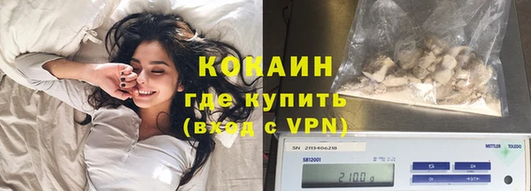 сатива Коряжма