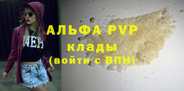 крисы Козельск