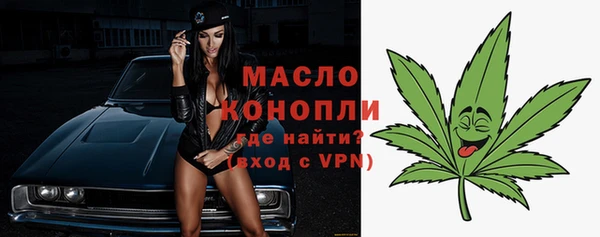 сатива Коряжма
