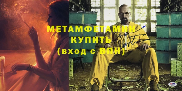 сатива Коряжма