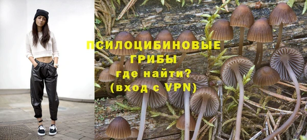 крисы Козельск