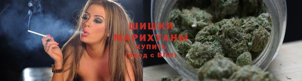 мдпв Корсаков