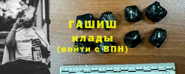 сатива Коряжма