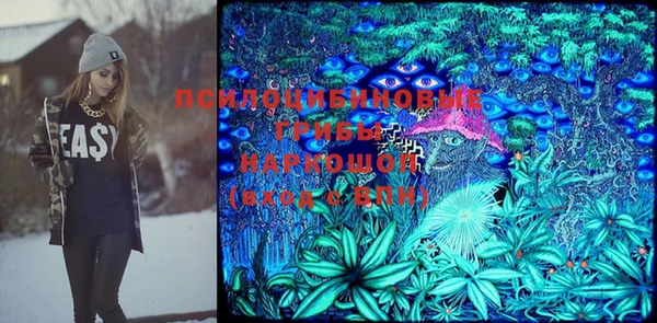 сатива Коряжма
