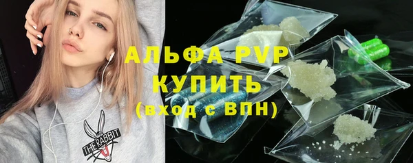 сатива Коряжма