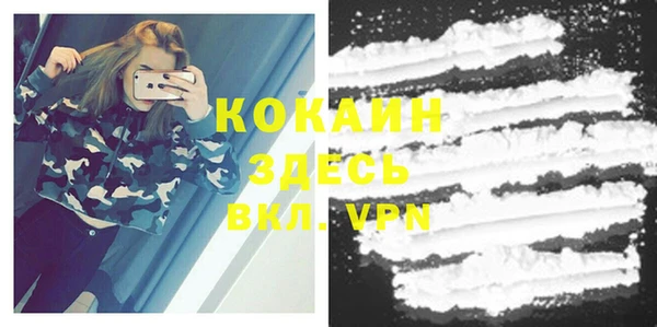мдпв Корсаков