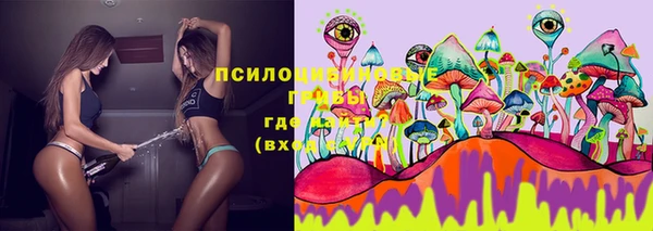 мдпв Корсаков